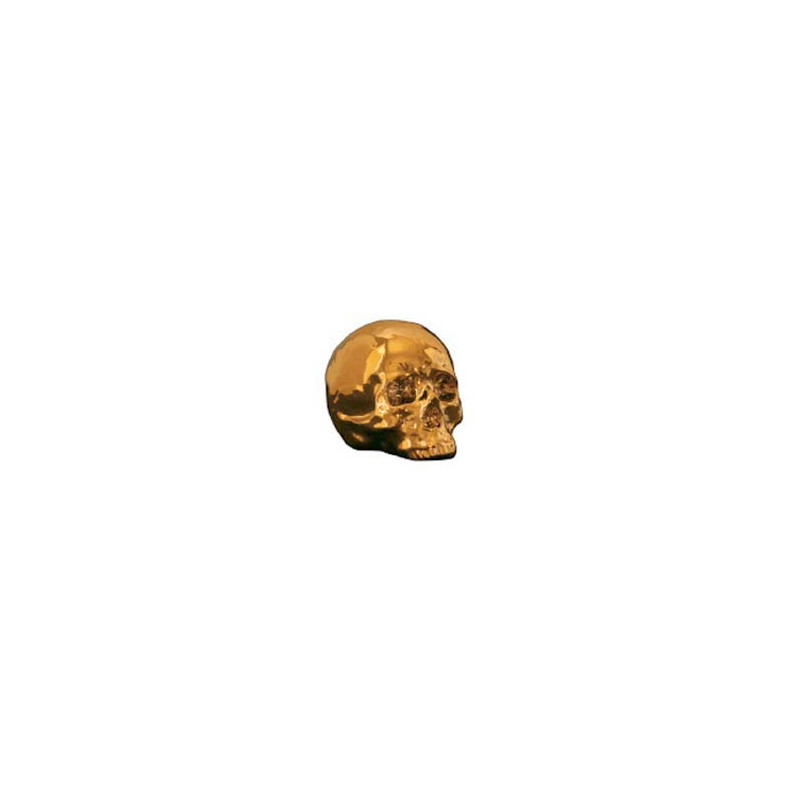 CALAVERA GOLD CALAVERA GOLD