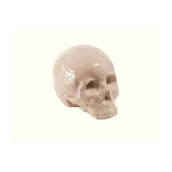  CALAVERA MEMORABILIA