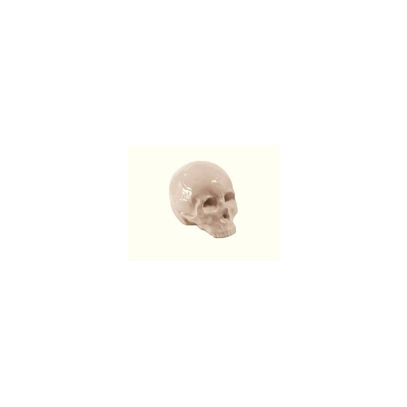 CALAVERA MEMORABILIA CALAVERA MEMORABILIA