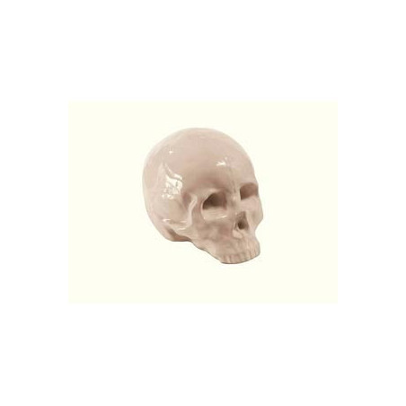  CALAVERA MEMORABILIA