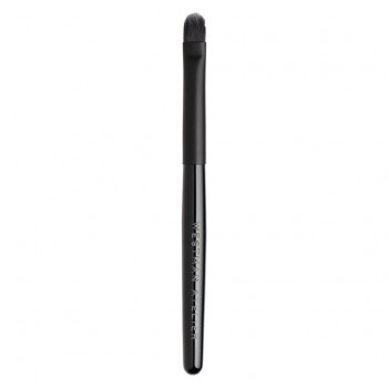 LIP BRUSH