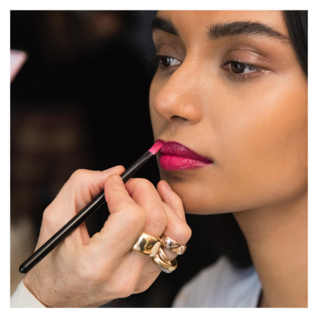 LIP BRUSH
