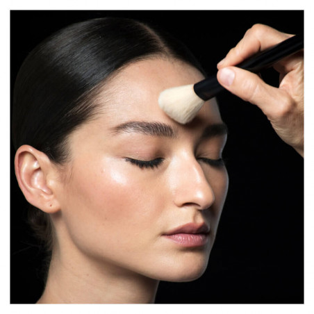 POWDER BRUSH