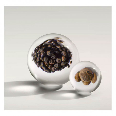 BLACK PEPPER EAU DE PARFUM