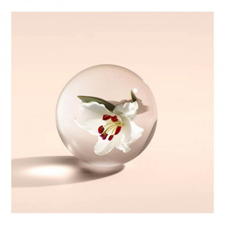 GINGERLILY EAU DE TOILETTE