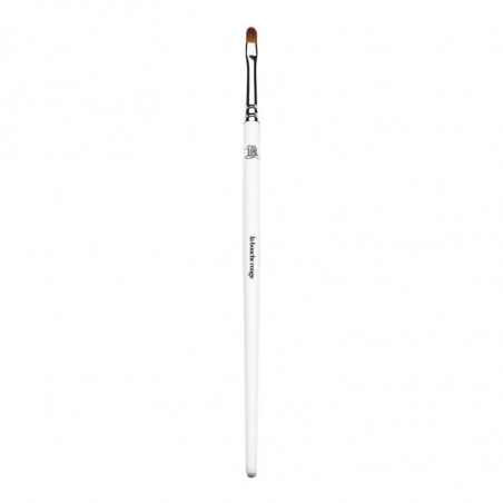 LIP BRUSH