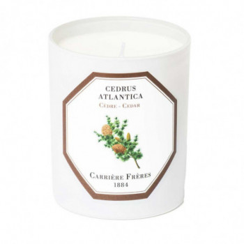 CEDAR SCENTED CANDLE