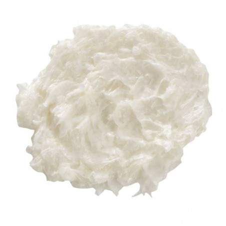 PEPPERMINT & AVOCADO SCALP SCRUB