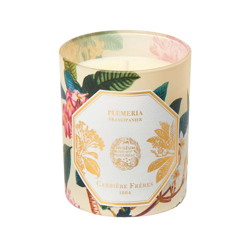 FRANGIPANI SCENTED CANDLE FRANGIPANI SCENTED CANDLE