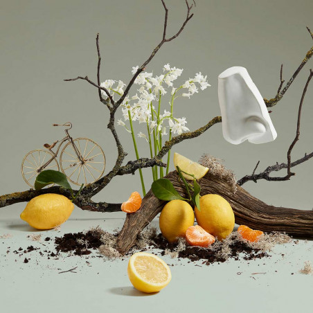QUERCUS EAU DE PARFUM