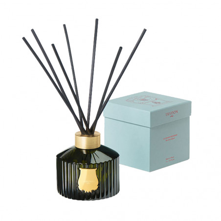 ERNESTO THE GREAT DIFFUSER