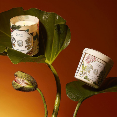 FRANGIPANI SCENTED CANDLE REFILL