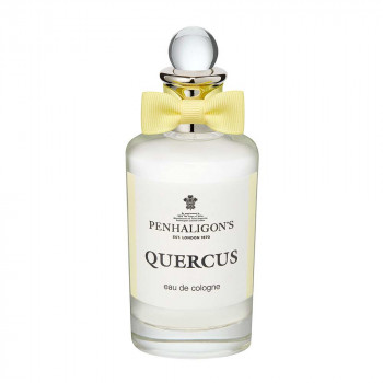 QUERCUS COLOGNE