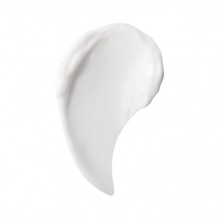 PRIME CONTOUR PRIME CONTOUR