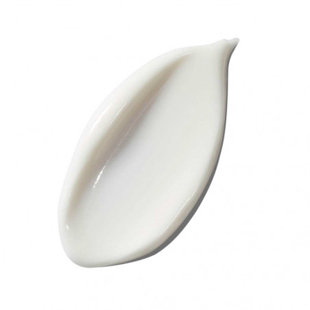 THE INTENSIVE REVITALIZING MASK
