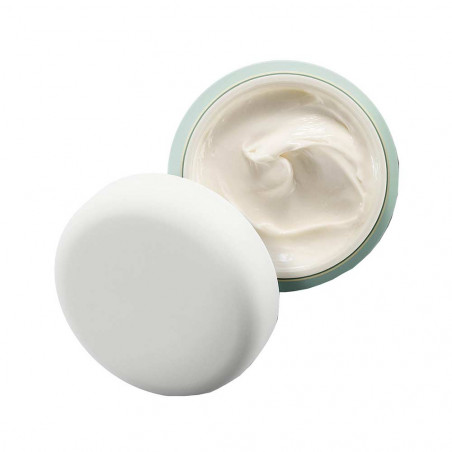 THE BODY CREAM