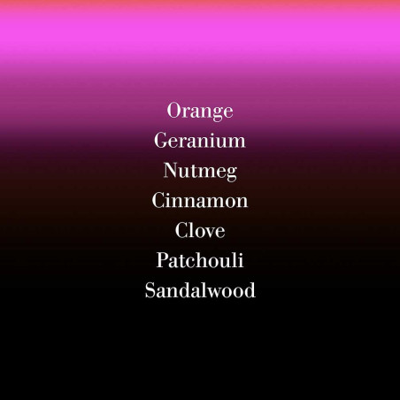 NOIR EPICES PERFUME