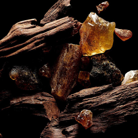 SACRED WOOD