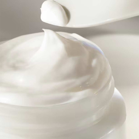THE MOISTURIZING SOFT CREAM