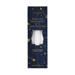 Fir Madeleine scented taper candles XMAS - Trudon