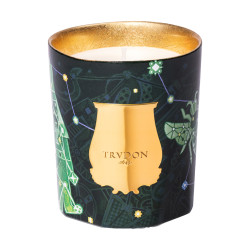 Trudon Fir scented candle XMAS - Trudon