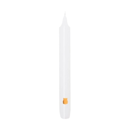 White Madeleine Taper Candle x6 | Trudon