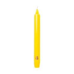 Yellow Madeleine Taper Candle x6 - Trudon
