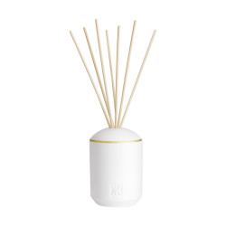 AU 17 FRAGRANCE DIFFUSER SET