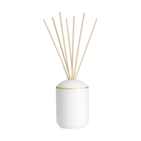 AU 17 FRAGRANCE DIFFUSER SET