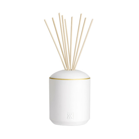 AU 17 XXL FRAGRANCE DIFFUSER SET