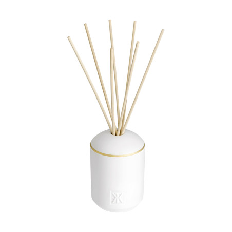 RUE DES GROSEILLIERS FRAGRANCE DIFFUSER SET