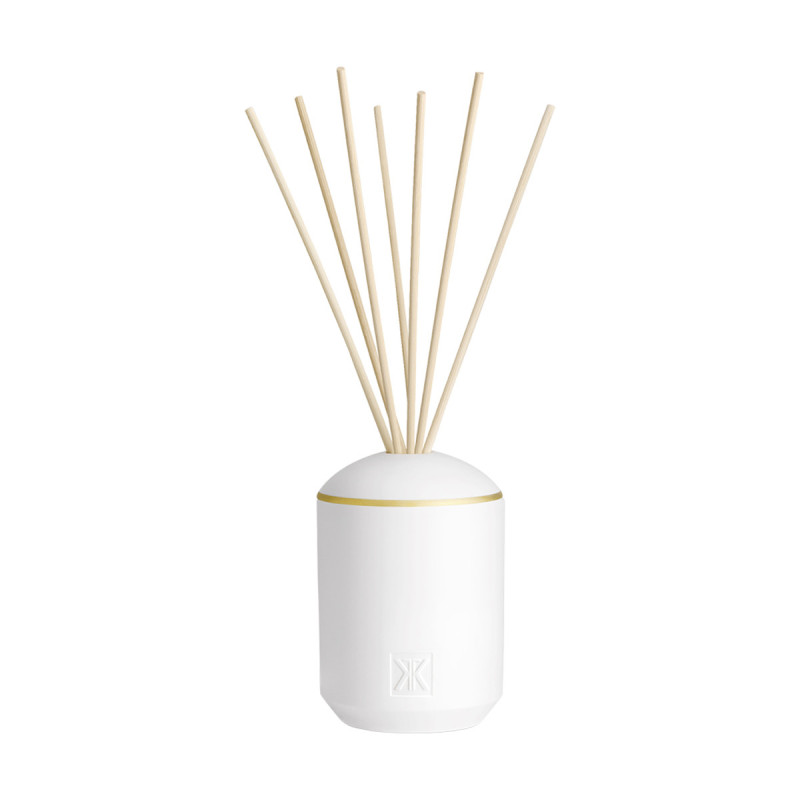 RUE DES GROSEILLIERS FRAGRANCE DIFFUSER SET