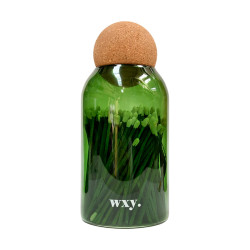Green Matches | WXY