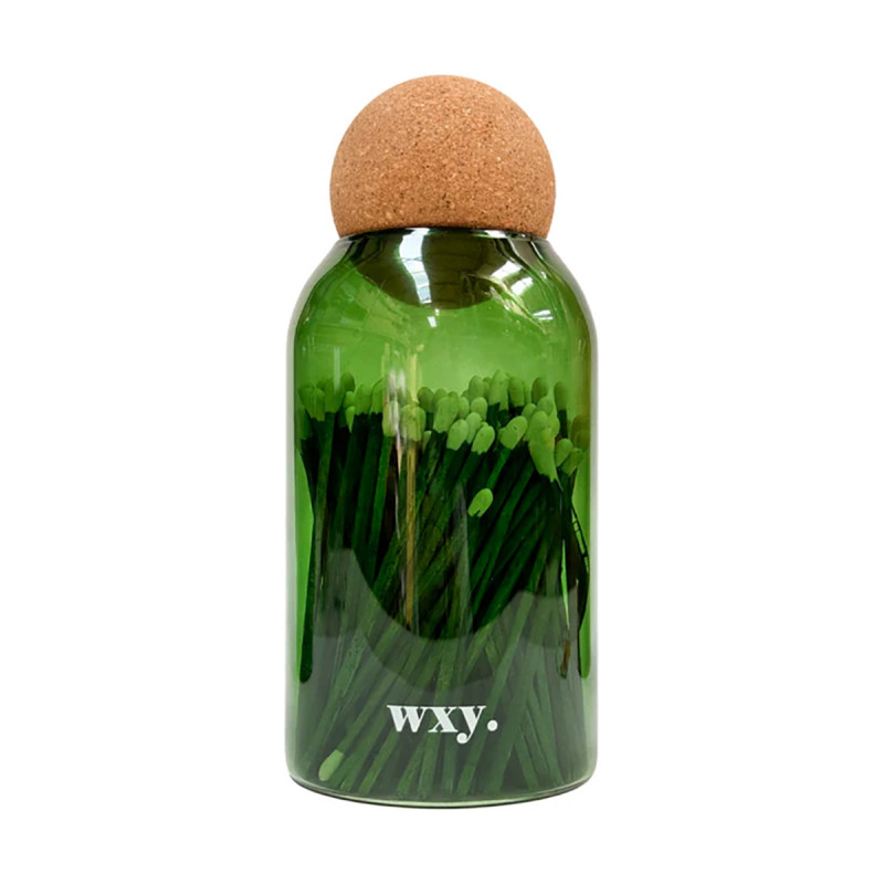 Green Matches | WXY