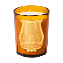 Altair Scented Candle | Trudon