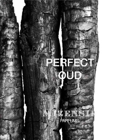 Perfect Oud Eau de Parfum | Mizensir