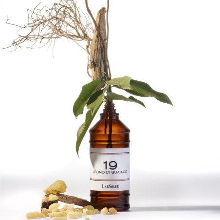 9 Legno di Guaiaco Eau de Parfum | LABSOLUE
