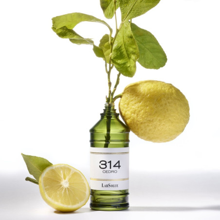 314 Cedro Eau de Parfum | LABSOLUE