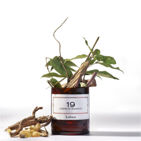 19 Legno di Guaiaco Scented Candle | LABSOLUE