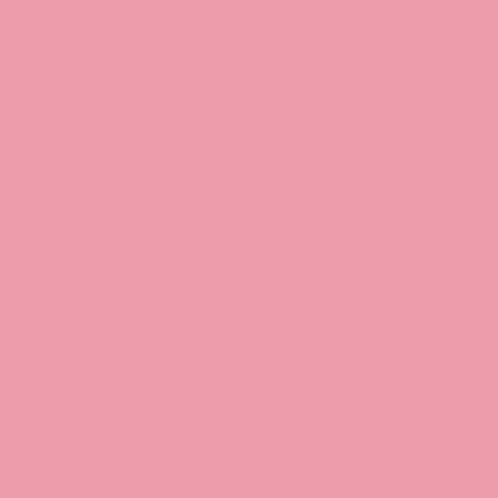 CHOU CHOU 005 CHOU CHOU 005
