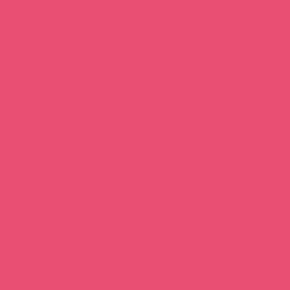 POPPET 004 POPPET 004
