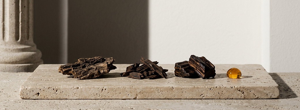 Mejores perfumes nicho de oud: guía para entender y elegir tu fragancia de culto