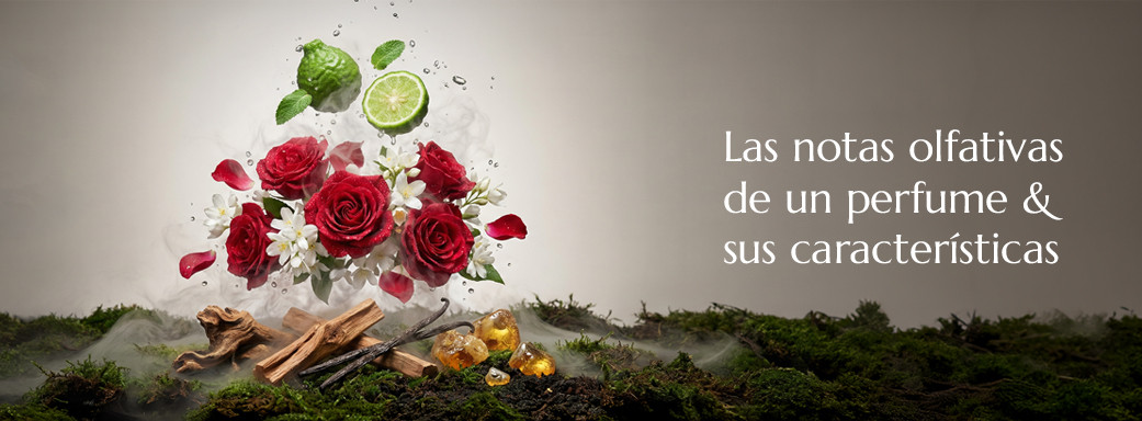 Cuáles son las notas olfativas de un perfume y sus características