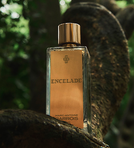 Encelade - Marc Antoine Barrois