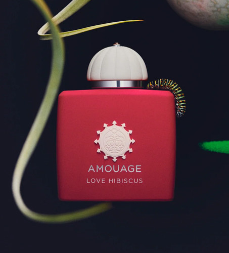 Love Hibiscus