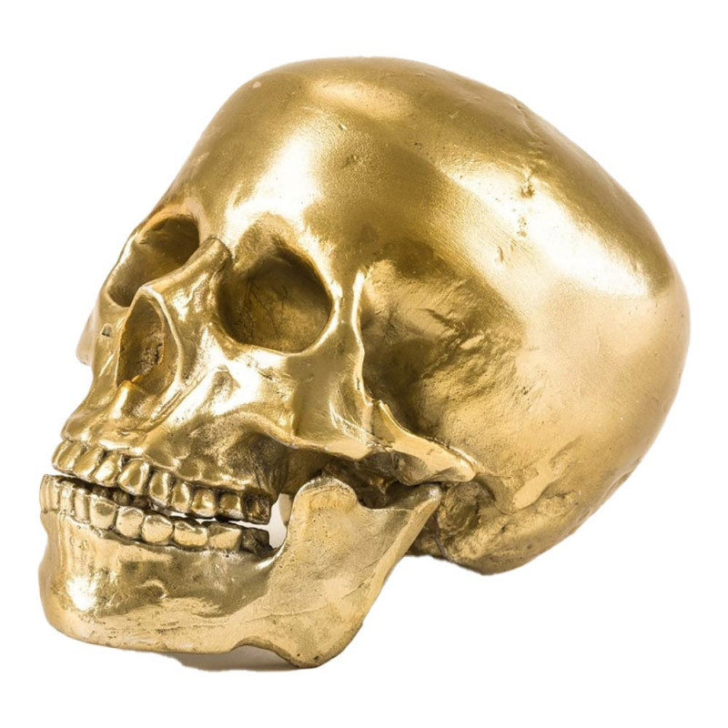SKULL HEAD IN ALUMINIUM "DIESEL-HUMAN SKUL