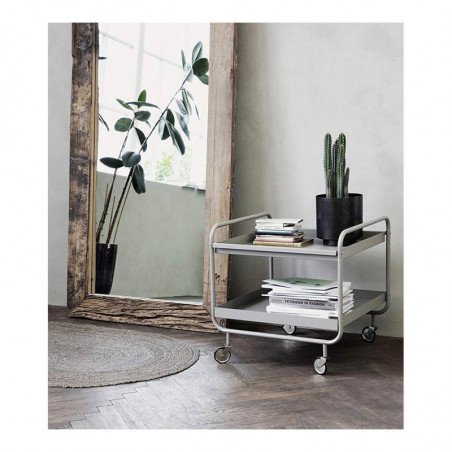 CARRITO ROLL GRIS DOS ESTANTES