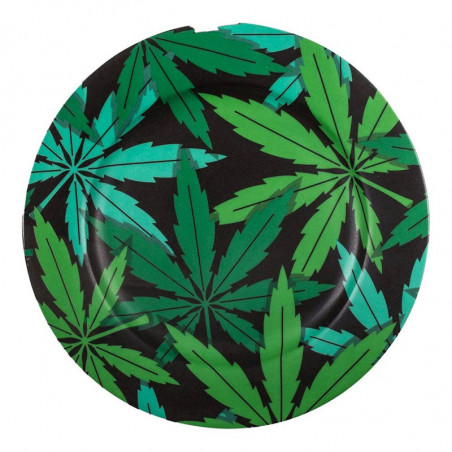 STUDIO JOB-BLOW PLATO WEED 17205