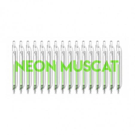 BOLIGRAFO NEON  3  MUSCAT