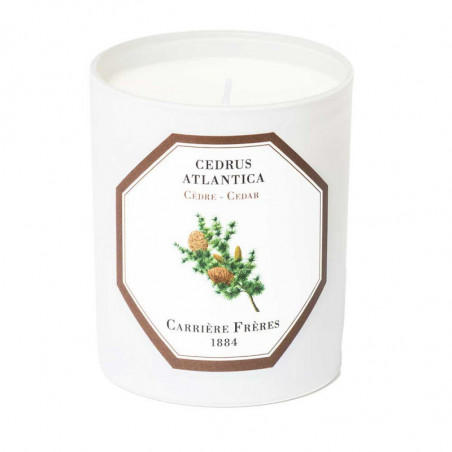 CEDAR SCENTED CANDLE
